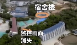 高中生离奇失踪爆料视频,揭秘背后惊人真相