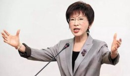 洪秀柱爆料视频大全集播放,揭秘政坛风云与幕后真相