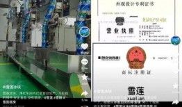 雪莲冰块爆料视频大全集,揭秘幕后真相与精彩瞬间